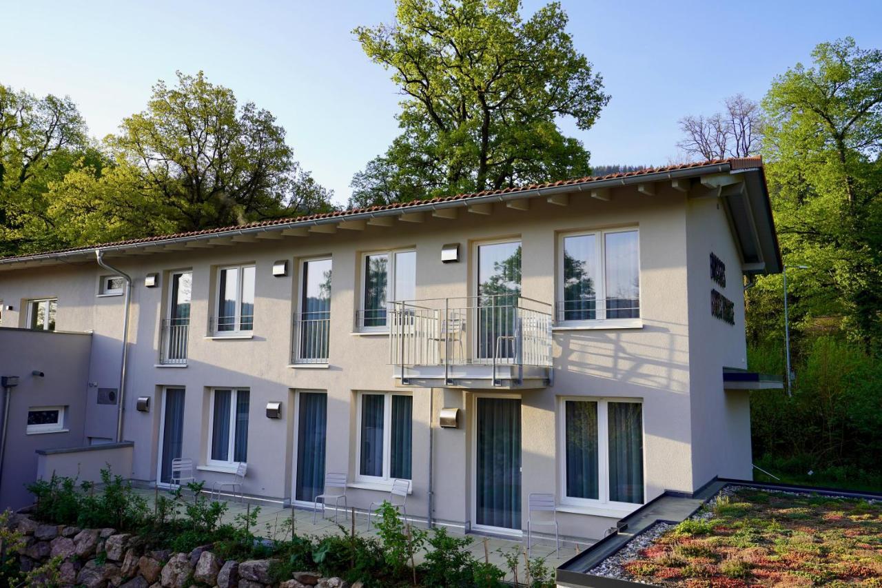Busses Guesthouse Freiburg im Breisgau Kültér fotó